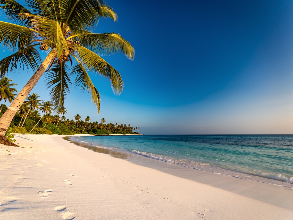 Pantai berpasir putih di Pulau Sangalaki dengan pohon kelapa di tepi